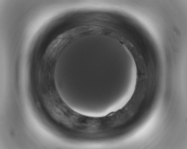 X0000111020143200907171903