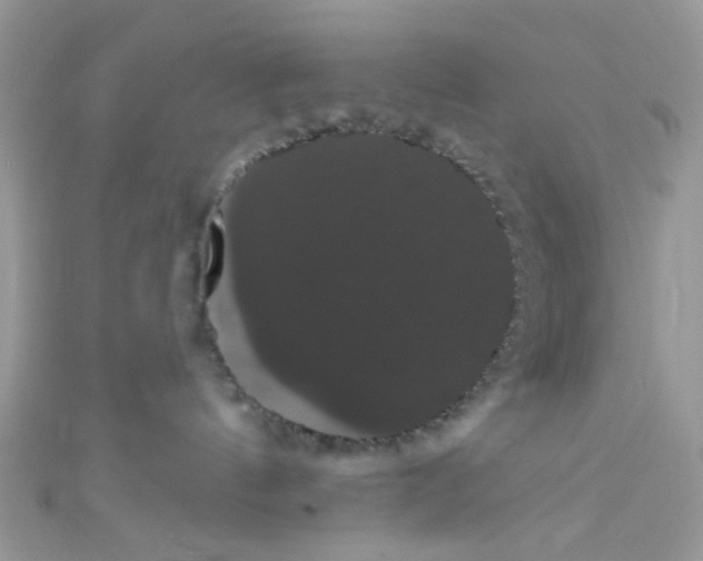 X0000111020144200907171903