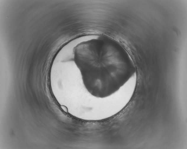 X0000111020145200907171902