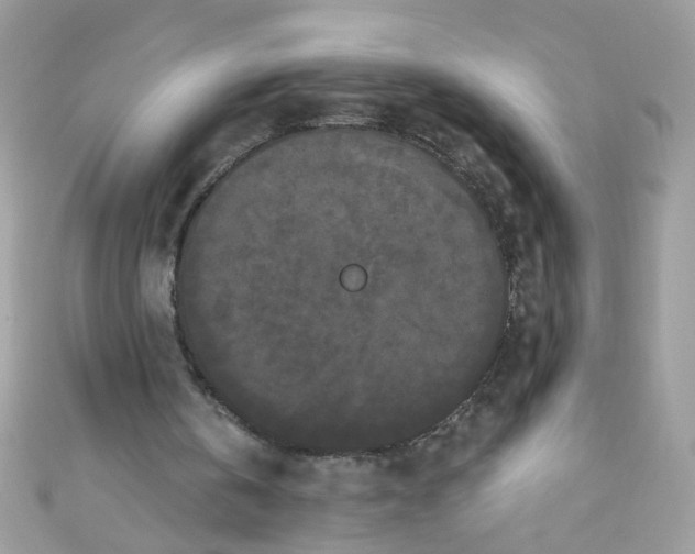 X0000111020146200907171902