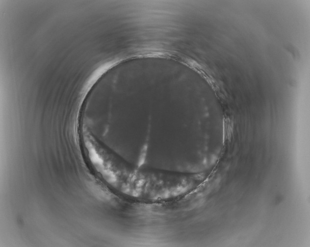 X0000111020147200907171902