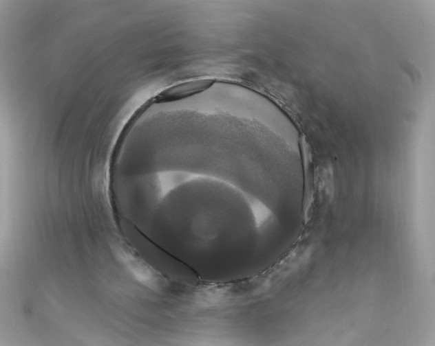 X0000111020148200907171902