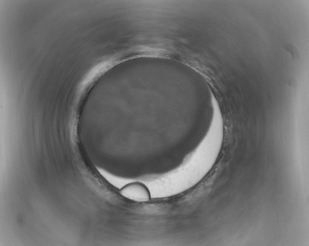 X0000111020149200907171902