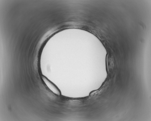 X0000111020150200907171902
