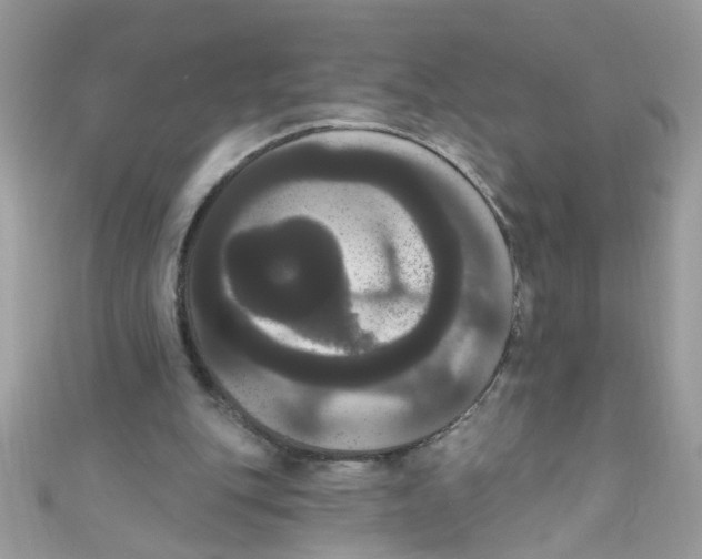 X0000111020151200907171902