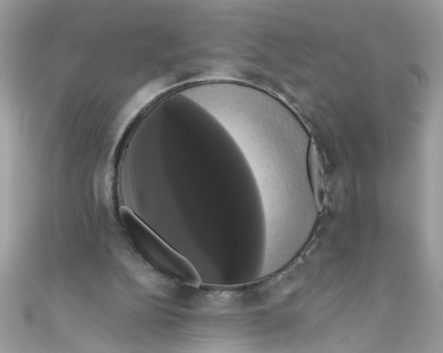 X0000111020152200907171902