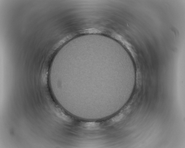 X0000111020153200907171902
