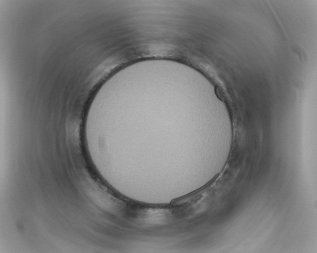 X0000111020154200907171902