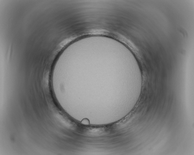 X0000111020155200907171902