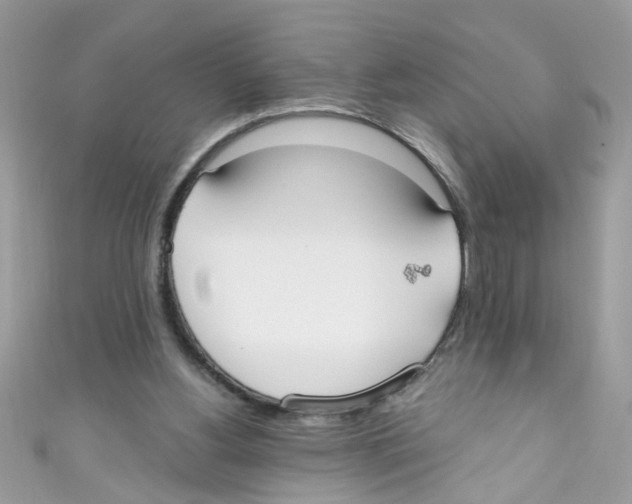 X0000111020156200907171902