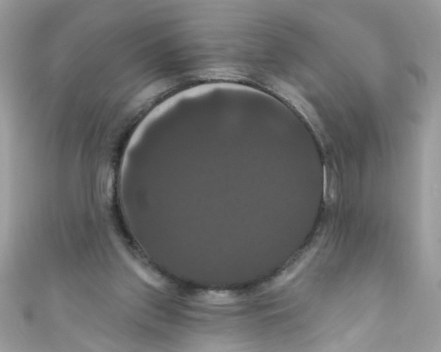 X0000111020157200907171902