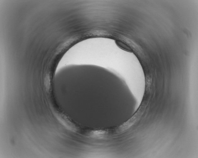 X0000111020158200907171902