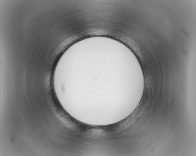 X0000111020159200907171902