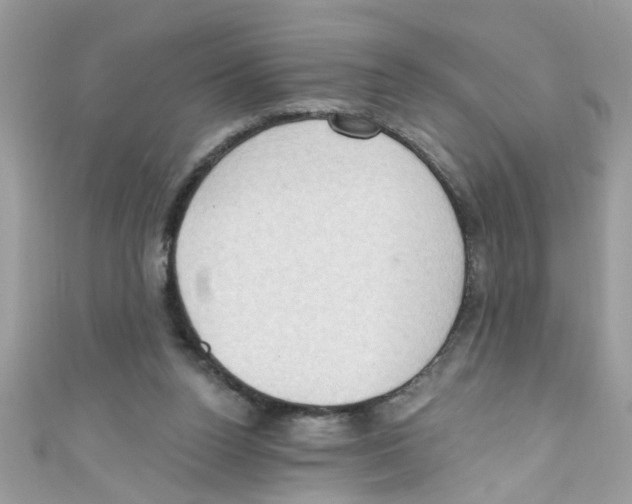 X0000111020160200907171902