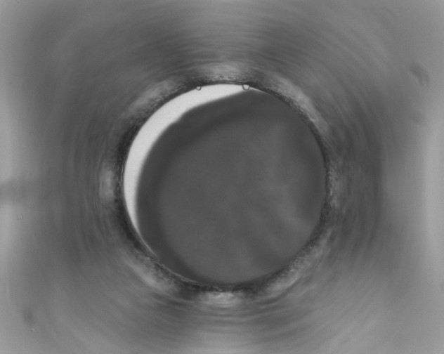 X0000111020161200907171902