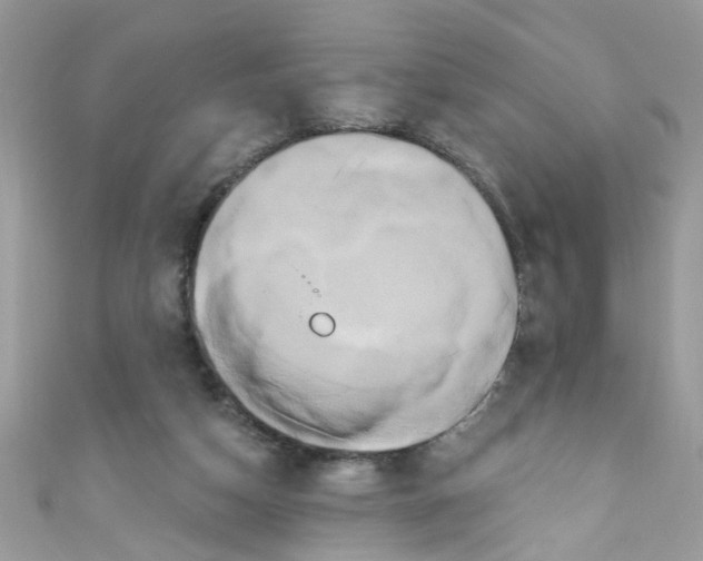 X0000111020162200907171902