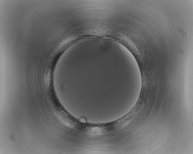 X0000111020163200907171902