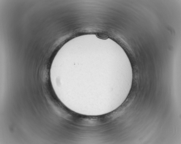 X0000111020164200907171902