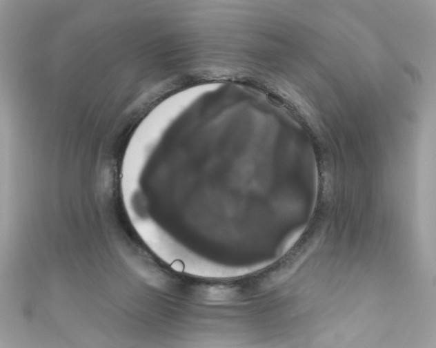 X0000111020165200907171902