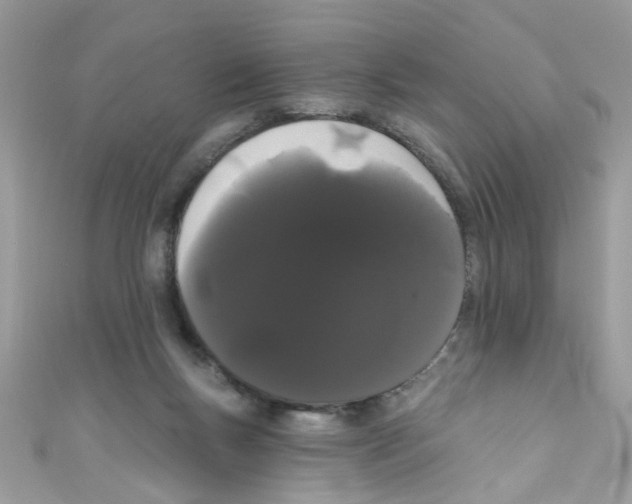 X0000111020167200907171902