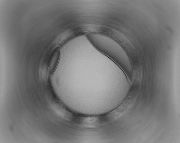 X0000111020168200907171902