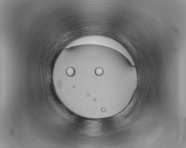 X0000111020170200907171902
