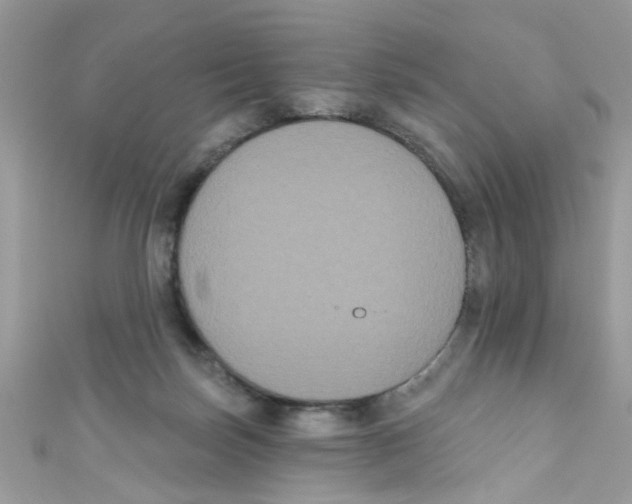 X0000111020171200907171902