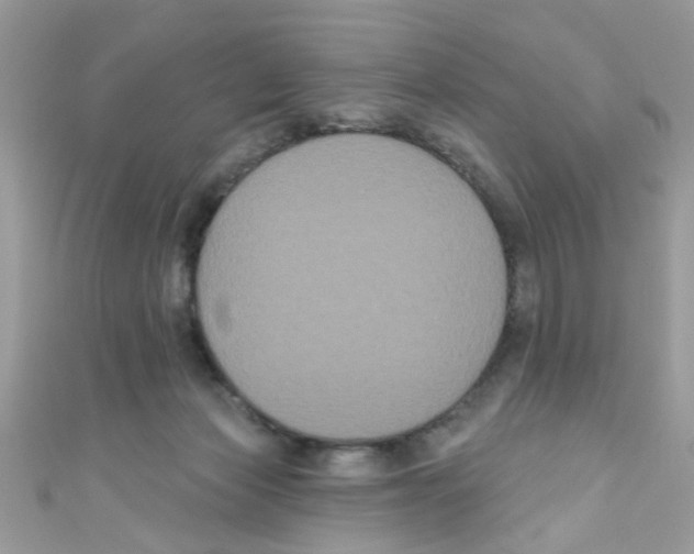 X0000111020173200907171902