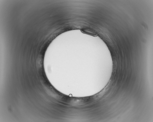 X0000111020174200907171903