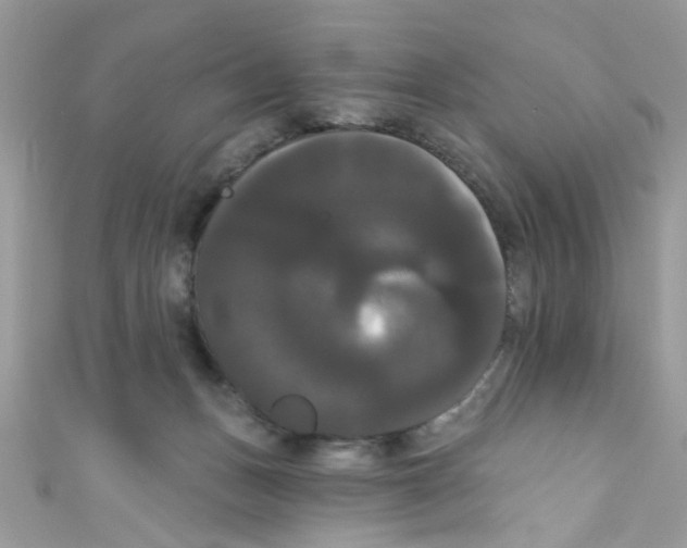 X0000111020175200907171903