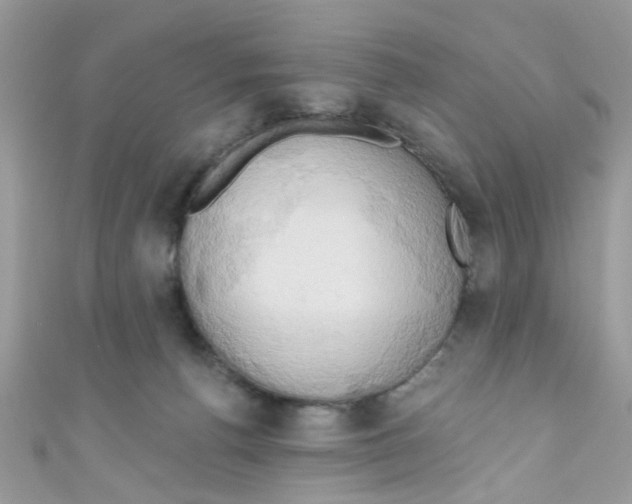 X0000111020176200907171903
