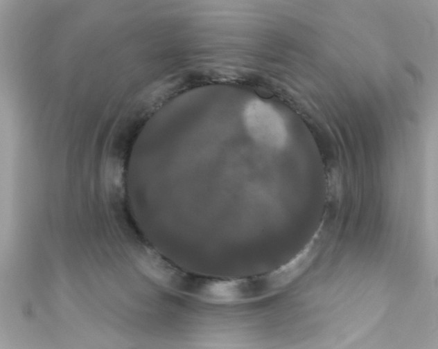 X0000111020178200907171903