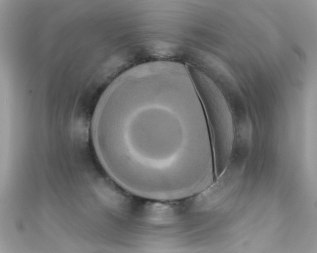 X0000111020180200907171903
