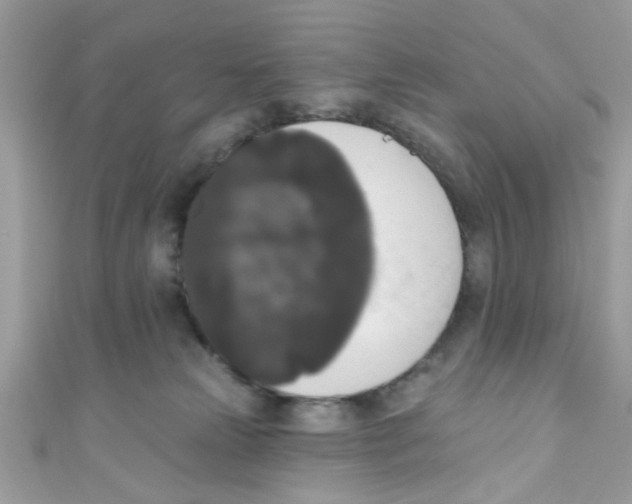 X0000111020181200907171903