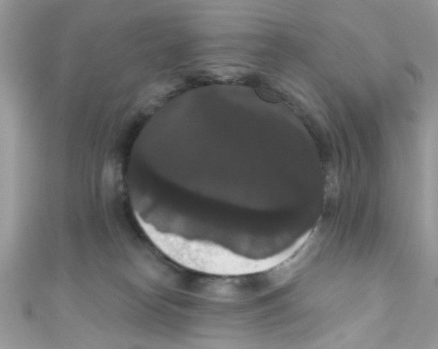X0000111020182200907171903