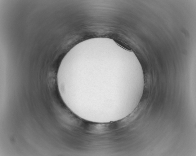 X0000111020184200907171903
