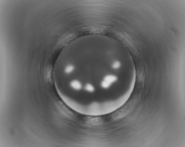X0000111020185200907171903