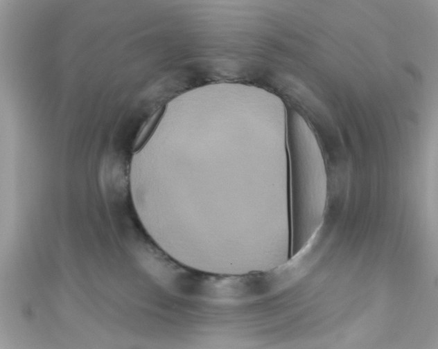 X0000111020186200907171903
