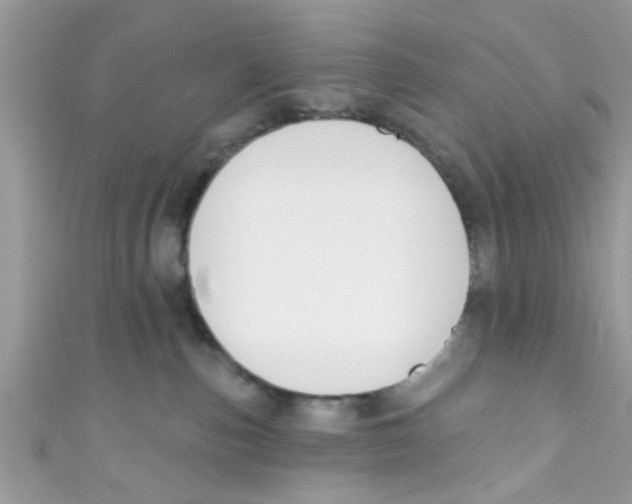 X0000111020187200907171903