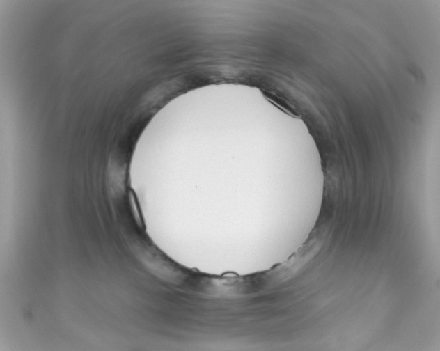 X0000111020188200907171903