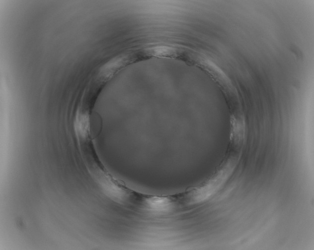 X0000111020189200907171903