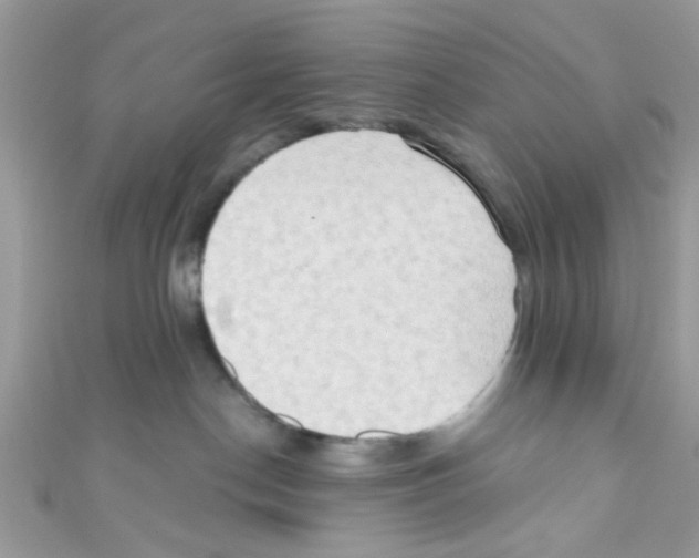 X0000111020190200907171903