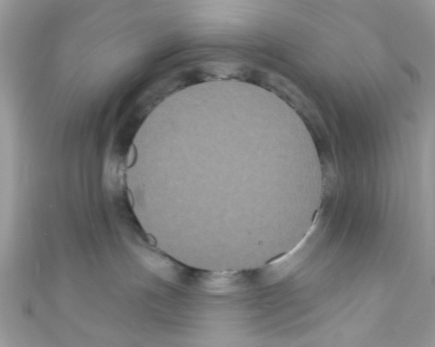 X0000111020191200907171903