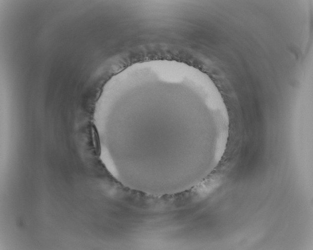 X0000111020192200907171903