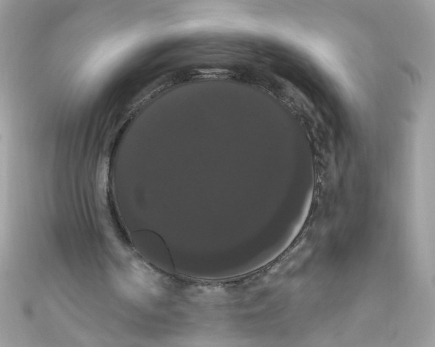 X0000111020194200907171902