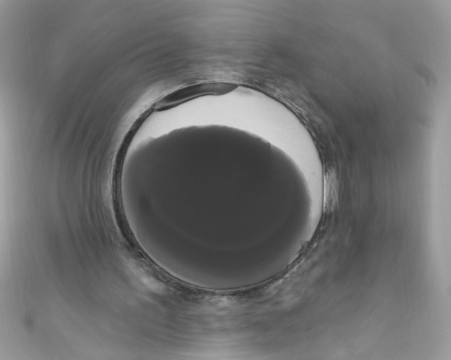 X0000111020195200907171902