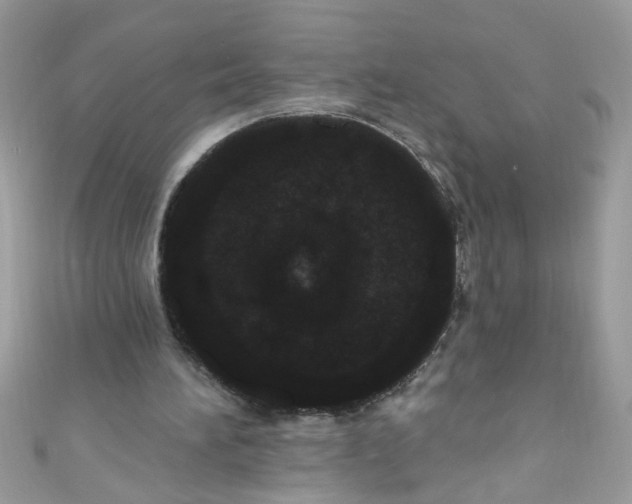 X0000111020196200907171902