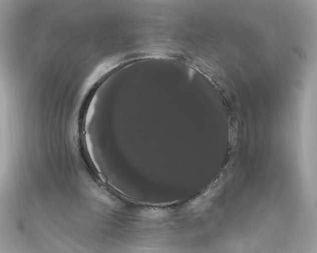 X0000111020198200907171902