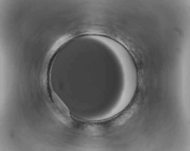 X0000111020199200907171902