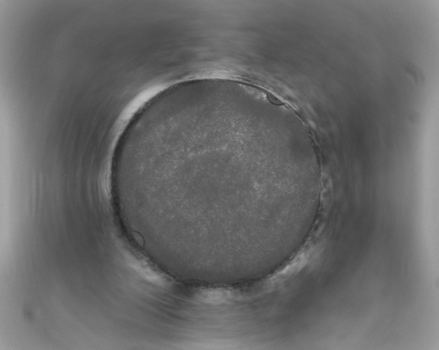 X0000111020200200907171902